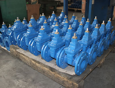 Cast Iron Gate Valve