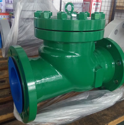 casting check valve