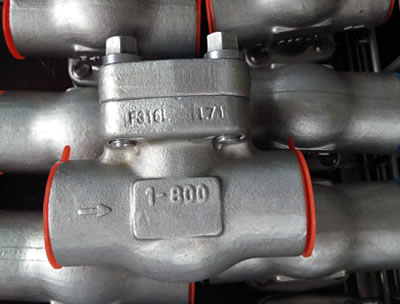 forged check valve