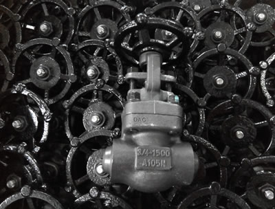 forged gate valve